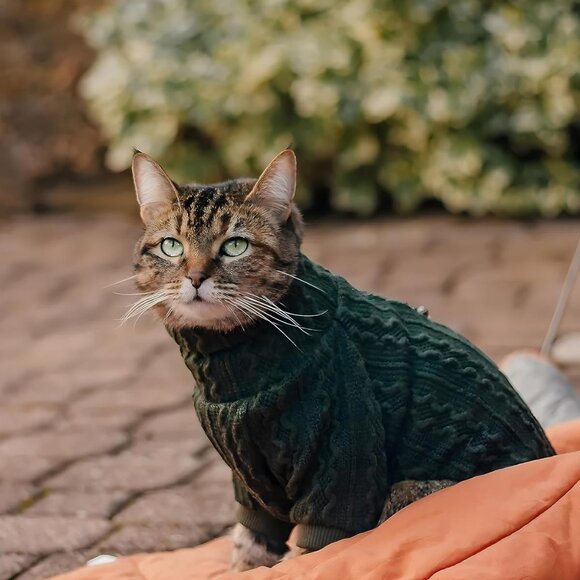 Fitwarm Green Turtleneck Knitted Dog Sweaters Winter Pet Coats Cat Small - Picture 2 of 8